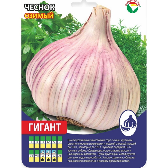 articul-A841544