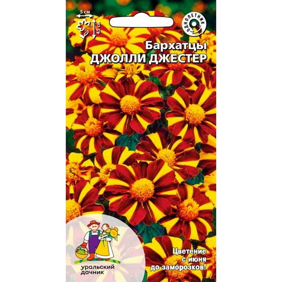 articul-A841801