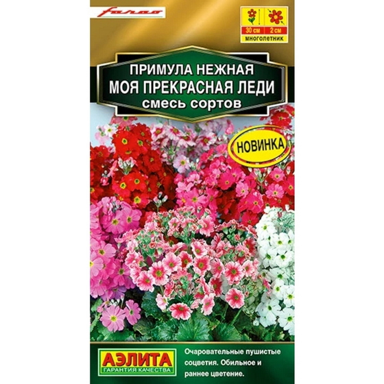 articul-A841803