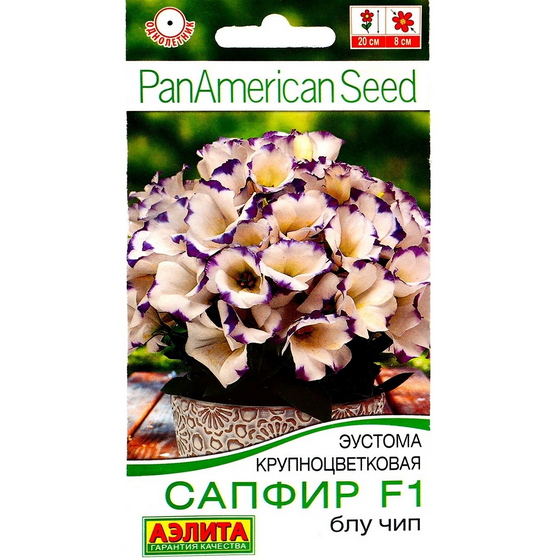 articul-A841804