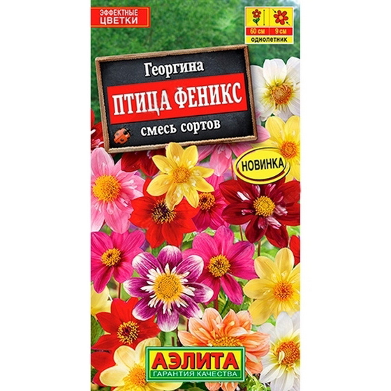 articul-A841812